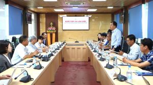 Trao đổi về sản xuất vật liệu từ thân cây chuối