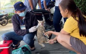 Em bé 13 tuổi bị chó dại cắn