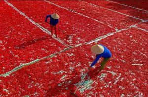 Hơn 400 tác phẩm tham gia Liên hoan Ảnh nghệ thuật khu vực Đông Nam Bộ