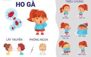 Thêm một trẻ nhỏ mắc bệnh ho gà trên địa bàn tỉnh