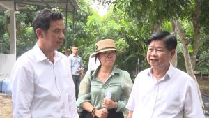 Kiểm tra chấp hành môi trường chăn nuôi tại huyện Cẩm Mỹ