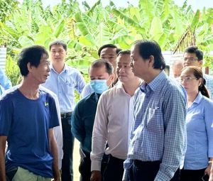 Tổng đàn vật nuôi trên địa bàn huyện Thống Nhất giảm mạnh