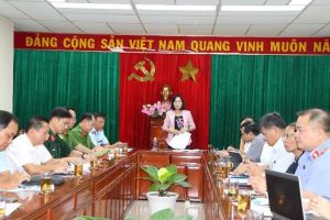 Ban Chỉ đạo 389 tỉnh Đồng Nai tổ chức Hội nghị sơ kết công tác chống buôn lậu, gian lận thương mại và hàng giả năm 2024