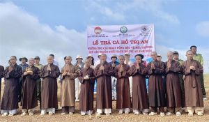 Ủy ban MTTQ Việt Nam tỉnh cùng Viện Chuyên tu lần thứ 7 thả cá xuống hồ Trị An