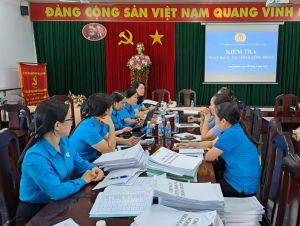 Kiểm tra việc quản lý và sử dụng tài chính công đoàn