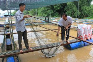 Tổng sản lượng thủy sản đạt gần 39,7 ngàn tấn