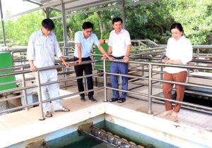 Đảm bảo nguồn nước sạch sinh hoạt cho người dân