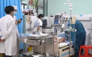 Những điều cần biết về bệnh viêm não Nhật Bản