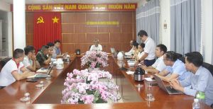 Sở Thông tin và Truyền thông làm việc với các doanh nghiệp viễn thông