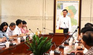 Dong Nai Has Ample Potential for Developing Aviation Sports Tourism
