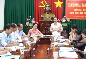 Ban Tuyên giáo Tỉnh uỷ giám sát Huyện uỷ Nhơn Trạch về một số lĩnh vực trong công tác tuyên giáo