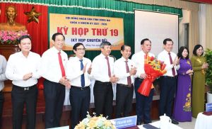 Đồng chí Võ Tấn Đức được bầu giữ chức Chủ tịch UBND tỉnh