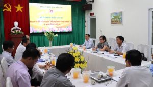 Kiên quyết xử lý sai phạm trong hoạt động hành nghề luật sư