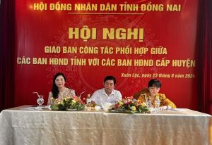 Các ban HĐND tỉnh, huyện phối hợp thực hiện tốt hoạt động giám sát, thẩm tra