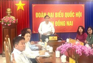 Đồng Nai chất vấn Chánh án Tòa án nhân dân tối cao về vụ án tại Quỹ Tín dụng nhân dân Tân Tiến, Thanh Bình và Dầu Giây