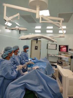 Triển khai kỹ thuật nội soi kép điều trị sỏi đường mật