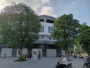 Quy định quyền sử dụng đất ở, sở hữu nhà ở của người Việt Nam định cư ở nước ngoài