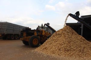 Đẩy mạnh phát triển vùng đồng bào thiểu số