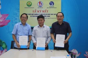 Phối hợp quản lý, phát huy giá trị di tích, danh thắng Bửu Long