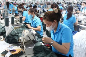 Khởi sắc thị trường lao động cuối năm