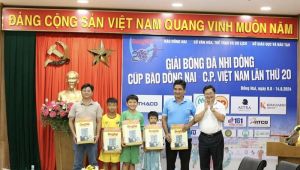 Nhiều ấn tượng từ Giải bóng đá nhi đồng Cúp Báo Đồng Nai - C.P Việt Nam lần thứ 20