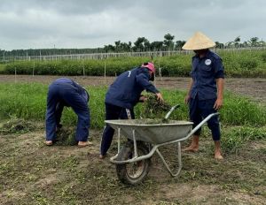 Tổ chức đào tạo nghề, giải quyết việc làm, giúp người lầm lỡ ổn định cuộc sống, hòa nhập cộng đồng, hạn chế tình trạng tái phạm