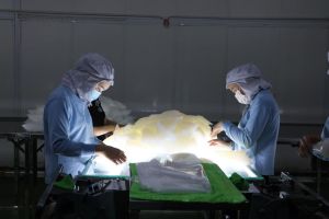 Đông Nam bộ tăng cường chuyển giao khoa học công nghệ