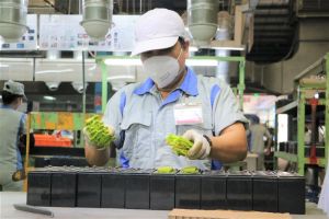 Dong Nai Province’s Shifting Growth Model