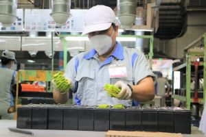 同奈转换增长模型