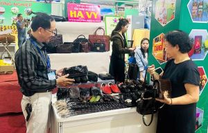 有22个企业、合作社参加胡志明市连接供求产品会议