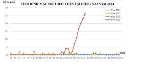 Bệnh nhi bị tim bẩm sinh, mắc bệnh sởi nặng được điều trị thành công