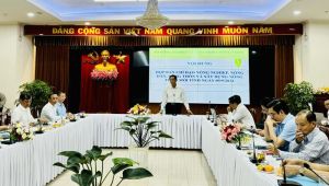 Thống Nhất về đích huyện nông thôn mới nâng cao năm 2024