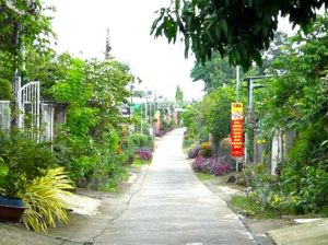 Huyện Tân Phú đã có 12/17 xã được công nhận đạt chuẩn nông thôn mới nâng cao