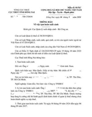 Người nộp thuế bị tạm hoãn xuất cảnh cần chủ động tra cứu thông tin