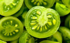 Những thực phẩm dễ gây ngộ độc