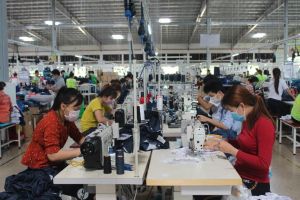 Doanh nghiệp khởi sắc đơn hàng