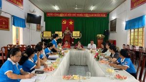 Hội Liên hiệp phụ nữ tỉnh tổ chức 3 đoàn kiểm tra công tác Hội và phong trào phụ nữ năm 2024