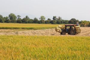 Đất sử dụng không đúng pháp luật sẽ bị thu hồi, không được bồi thường