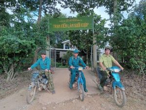 Nỗ lực canh giữ rừng