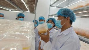 Toàn tỉnh có trên 15 ngàn mô hình Dân vận khéo
