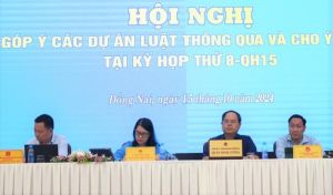 Nhiều ý kiến tâm huyết đóng góp vào các dự án luật