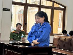 Hai vợ chồng trả giá vì lừa chiếm đoạt 20 tỷ đồng