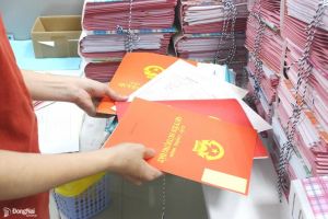 Từ 28/10, một số loại đất được cấp sổ đỏ tại Đồng Nai mà không phải nộp tiền sử dụng đất