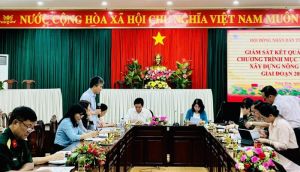 Trảng Bom phải thực hiện ngay các giải pháp gỡ vướng mắc trong xây dựng nông thôn mới