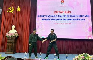 Triển khai Tháng hành động vì bình đẳng giới và phòng ngừa, ứng phó với bạo lực trên cơ sở giới