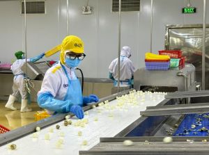 ドンナイは農業への投資を誘致する有利な環境を創出する