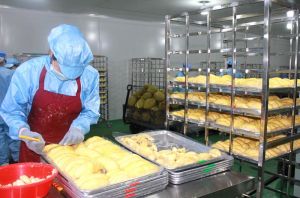 Sầu riêng đông lạnh xuất khẩu chính ngạch vào thị trường Trung Quốc