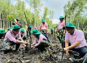 Xã hội hóa trồng cây xanh nông thôn