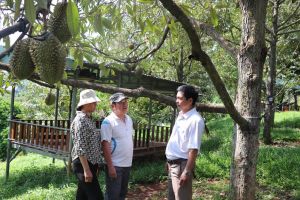 Mô hình làm du lịch sinh thái vườn ở Xuân Lập