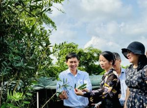 Anh Nguyễn Văn Khôn được vinh danh Nông dân Việt Nam xuất sắc năm 2024